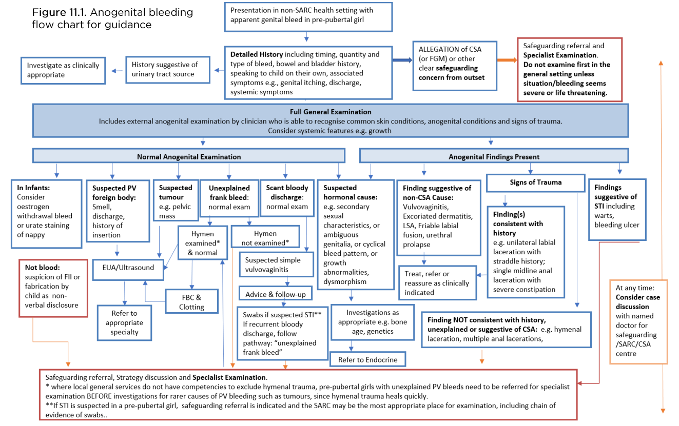 BLEEDING FLOWCHART.png